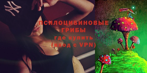 ешки Карпинск