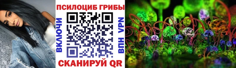 Галлюциногенные грибы ЛСД  Малаховка 